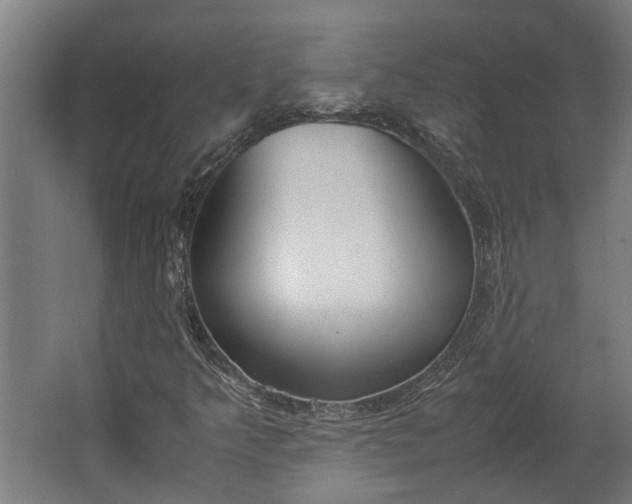 X0000062601349200601040903