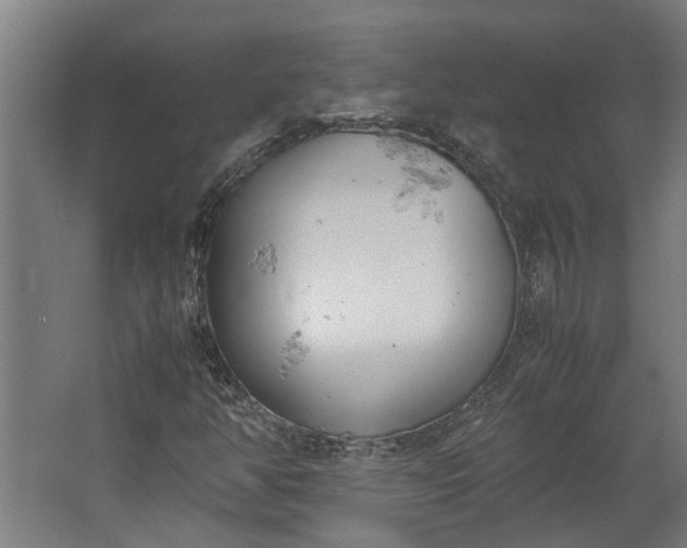 X0000062601350200601040903