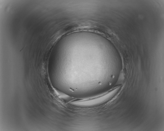 X0000062601353200601040903