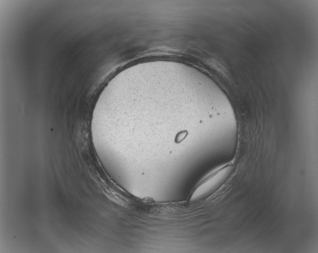 X0000062601355200601040903