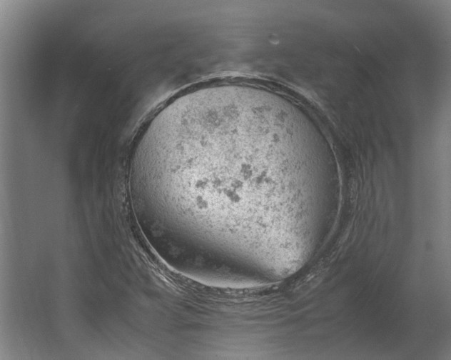 X0000062601359200601040903