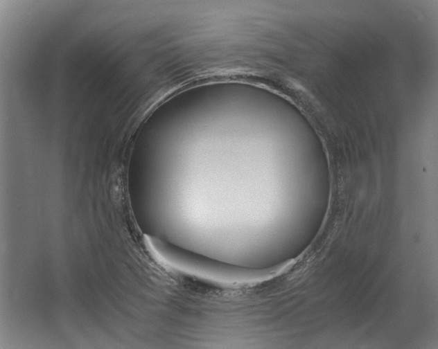 X0000062601361200601040903