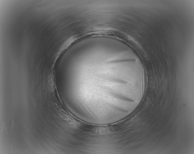 X0000062601362200601040902