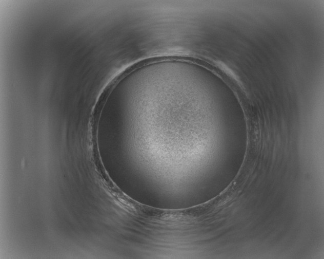 X0000062601364200601040902