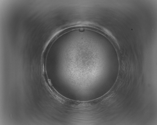 X0000062601368200601040902