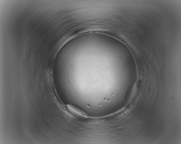 X0000062601369200601040902