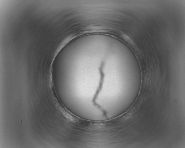 X0000062601370200601040902