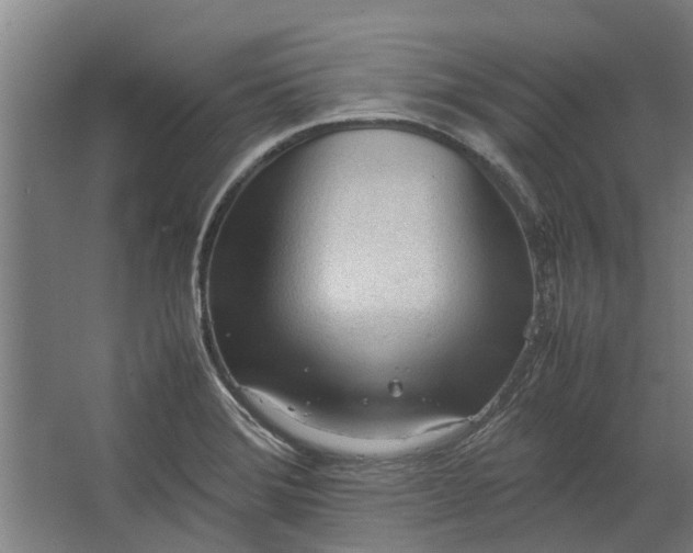 X0000062601372200601040902