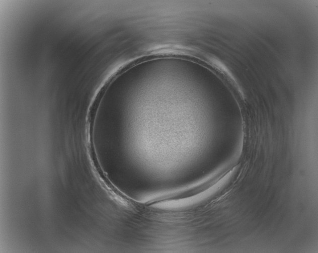 X0000062601376200601040902