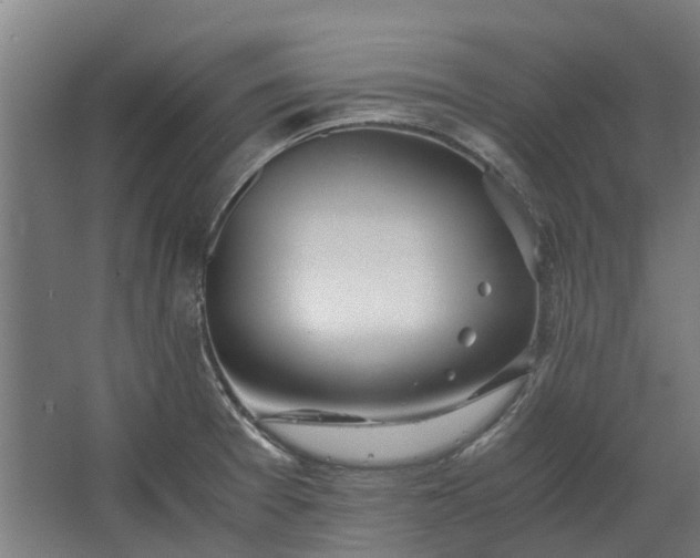 X0000062601377200601040902