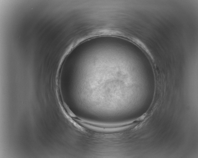 X0000062601381200601040902