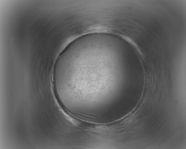 X0000062601383200601040902