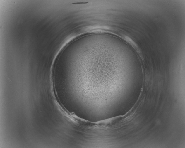 X0000062601384200601040902