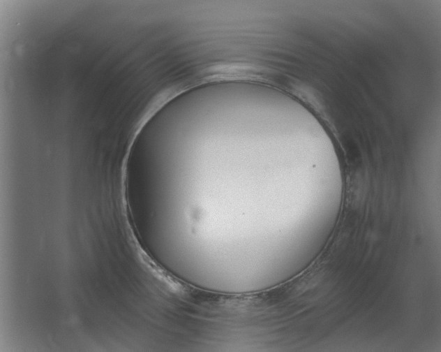 X0000062601386200601040902