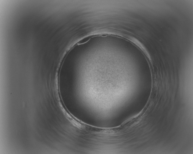 X0000062601388200601040902