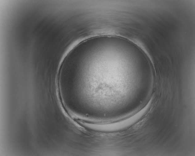 X0000062601389200601040902