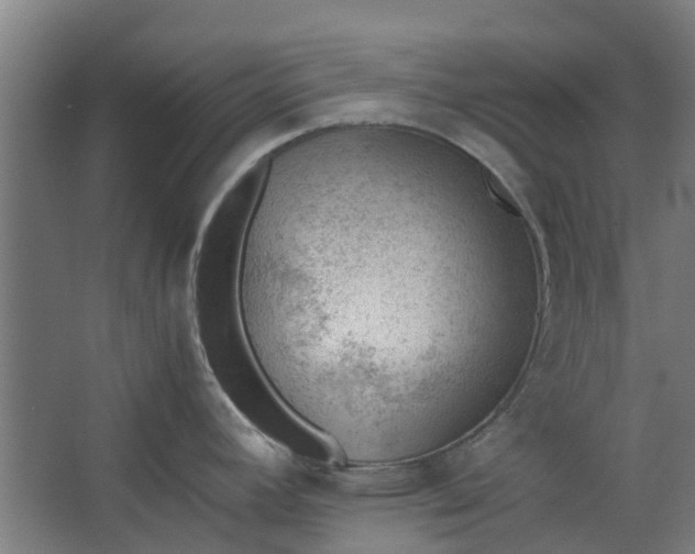 X0000062601392200601040902