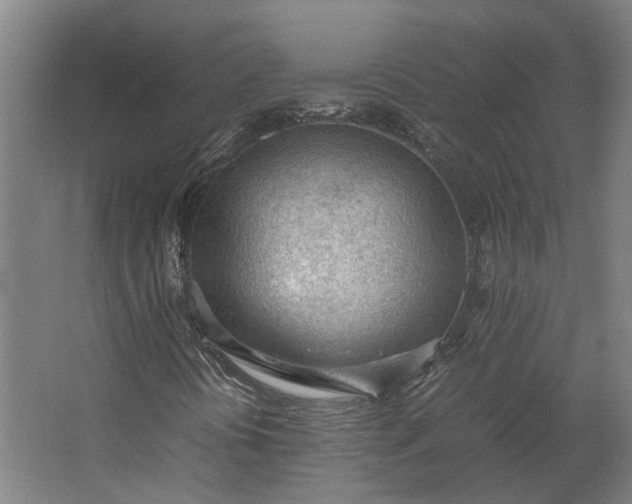 X0000062601394200601040901