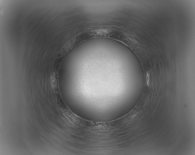 X0000062601395200601040901