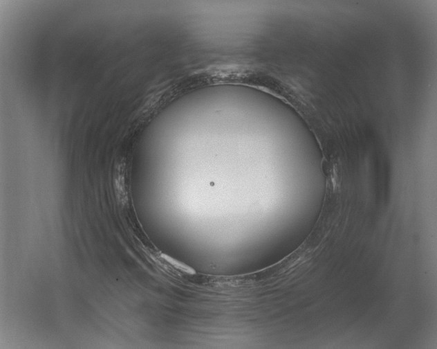 X0000062601396200601040901