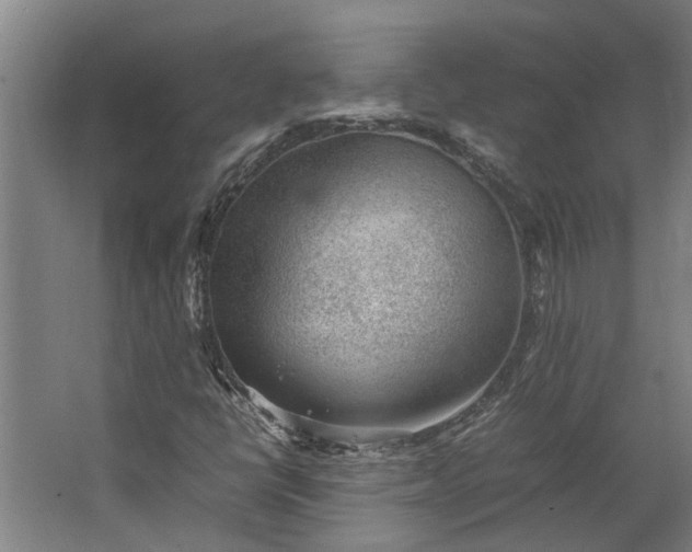 X0000062601398200601040901