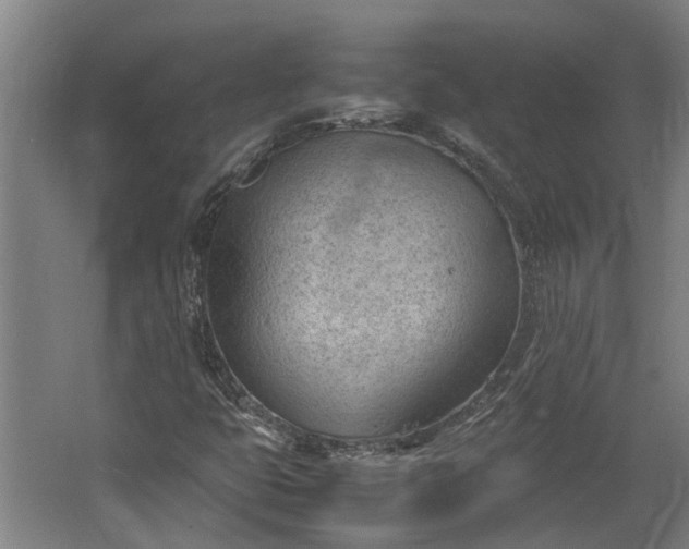 X0000062601399200601040901