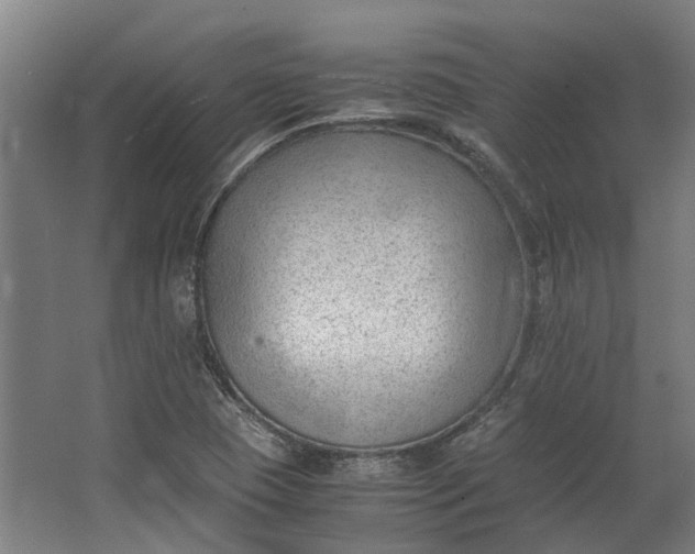 X0000062601409200601040901