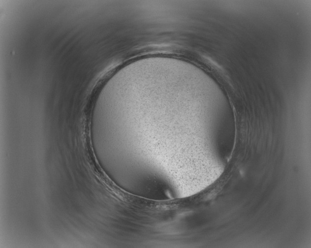 X0000062601411200601040901