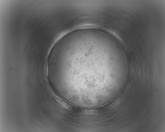 X0000062601413200601040902