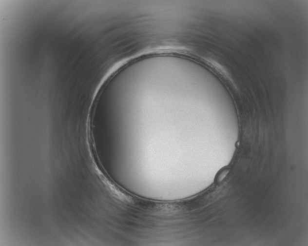 X0000062601420200601040902