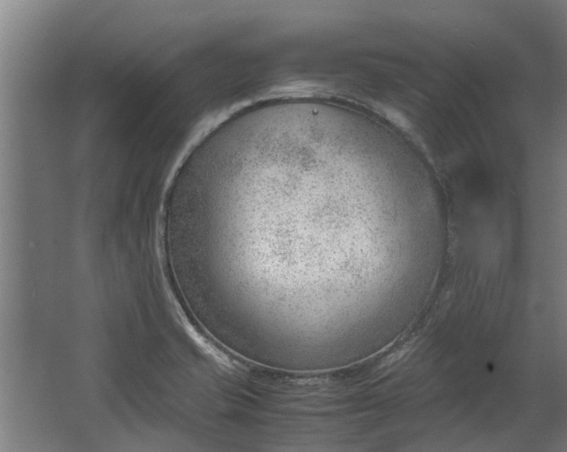 X0000062601421200601040902