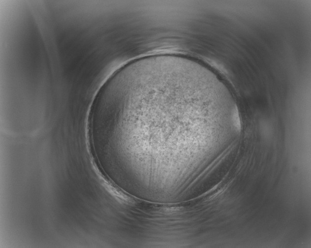 X0000062601423200601040902