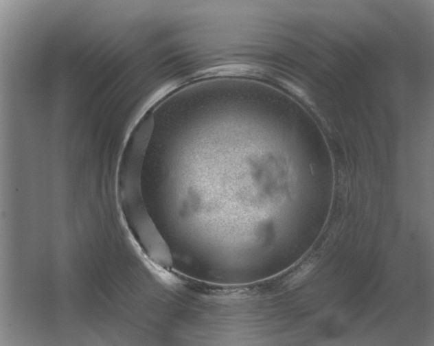 X0000062601426200601040902