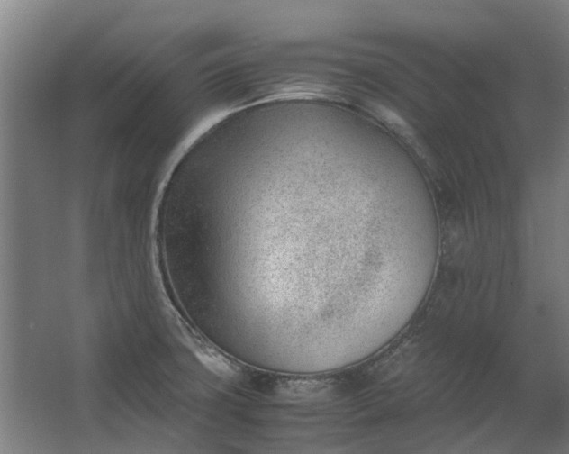 X0000062601427200601040902