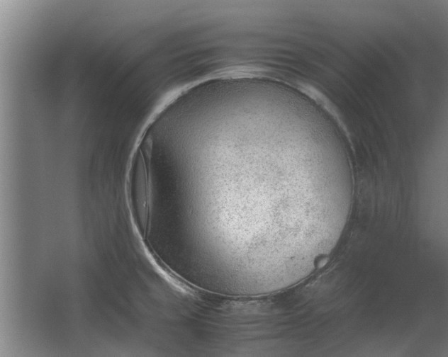 X0000062601429200601040902