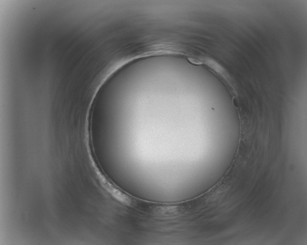 X0000062601431200601040902