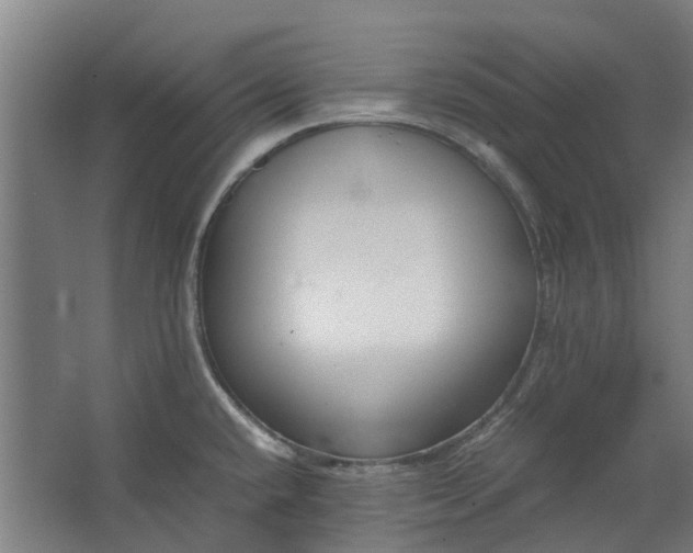 X0000062601432200601040902