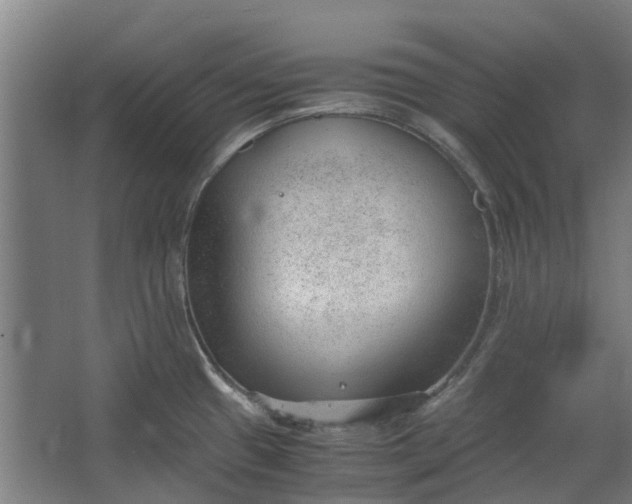 X0000062601433200601040902