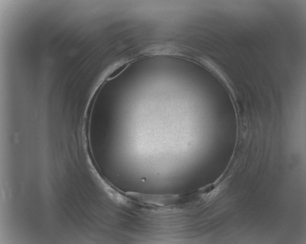 X0000062601434200601040902