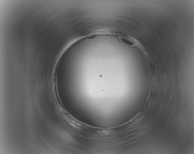 X0000062601435200601040902