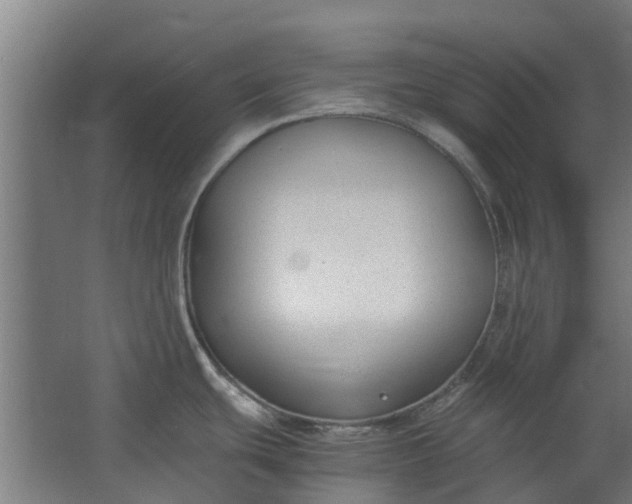 X0000062601439200601040902