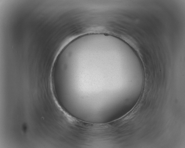 X0000062601440200601040902