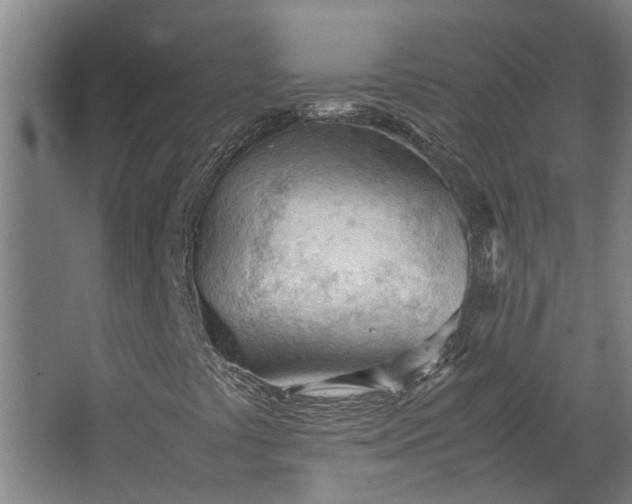 X0000062601441200601040901