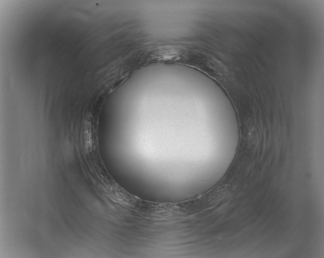 X0000062601442200601040901