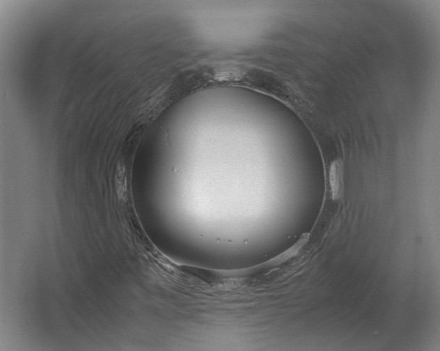 X0000062601443200601040901