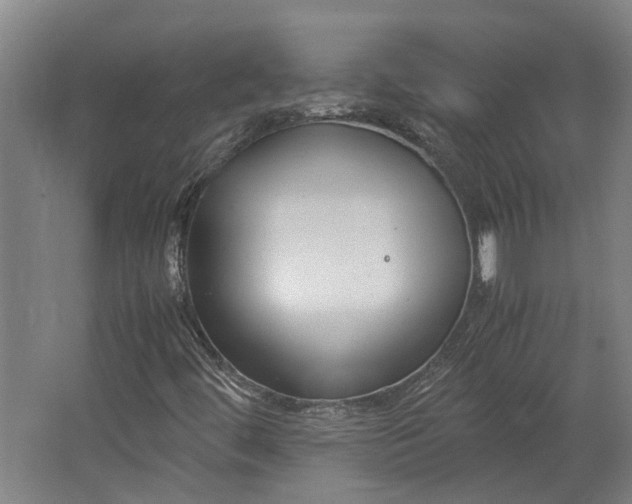 X0000062601444200601040901