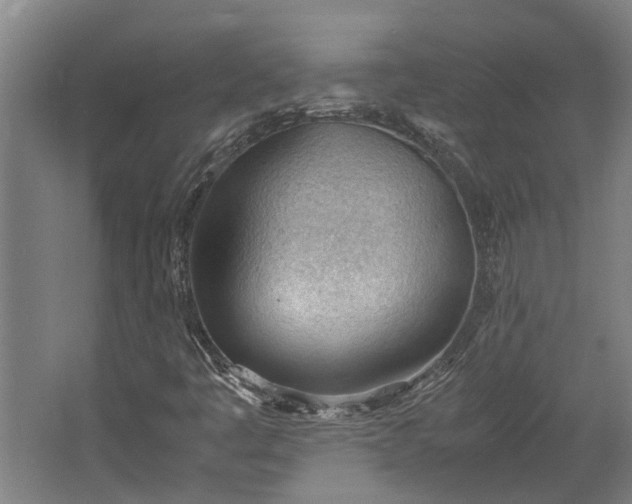 X0000062601445200601040901