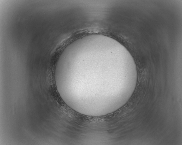 X0000062601446200601040901