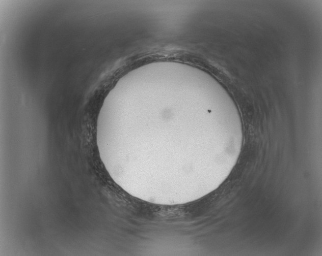 X0000062601447200601040901