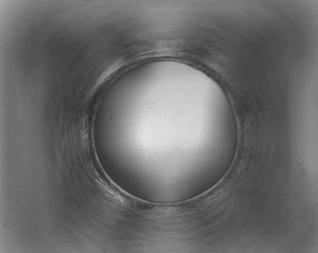 X0000062601450200601040901